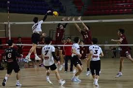 [法甲]第14轮：摩纳哥1-0巴黎圣日耳曼 集锦